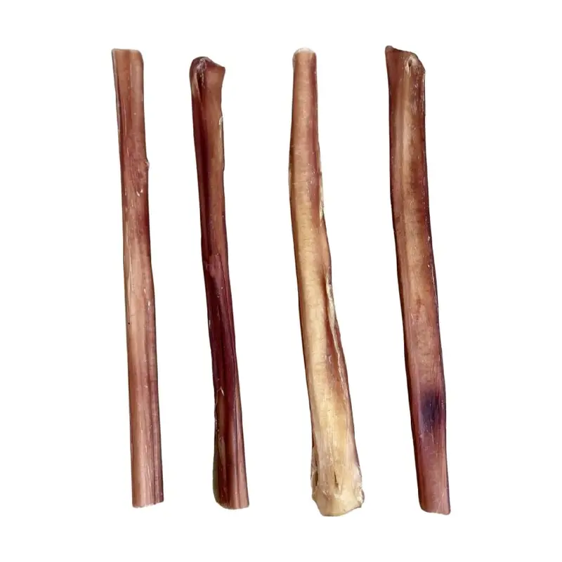 Pizzle - 24cm (Also known as Bully Sticks) Natural Dog Treat Long Lasting Chew 1
