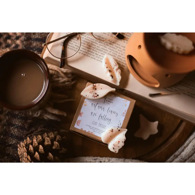 Autumn Spice Scented Leaves Shaped Wax Melts 0