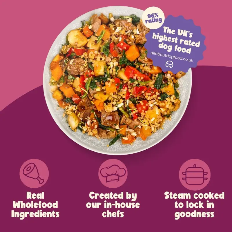 4x Steak & Kidney Mushroom Hotpot Adult Dog Food | Grain Free | Years Complete Nutritional Fresh Wet Dog Food |  Hypoallergenic 7