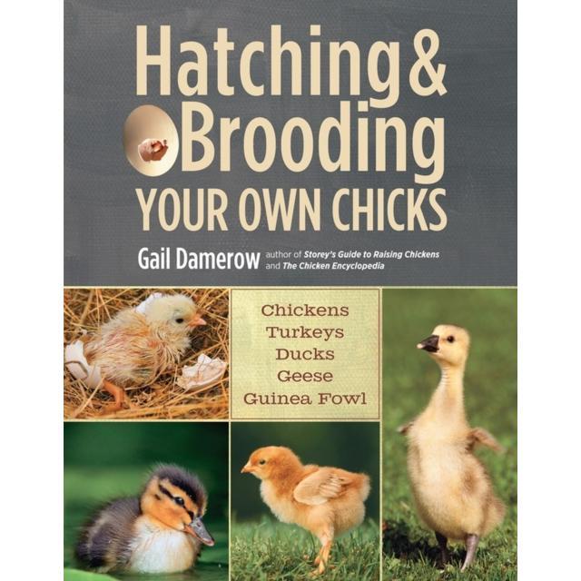 Hatching & Brooding Your Own Chicks - Paperback Book - Chickens, Turkeys, Ducks, Geese, Guinea Fowl - by Gail Damerow - 9781612120140 - Workman Publishing 0