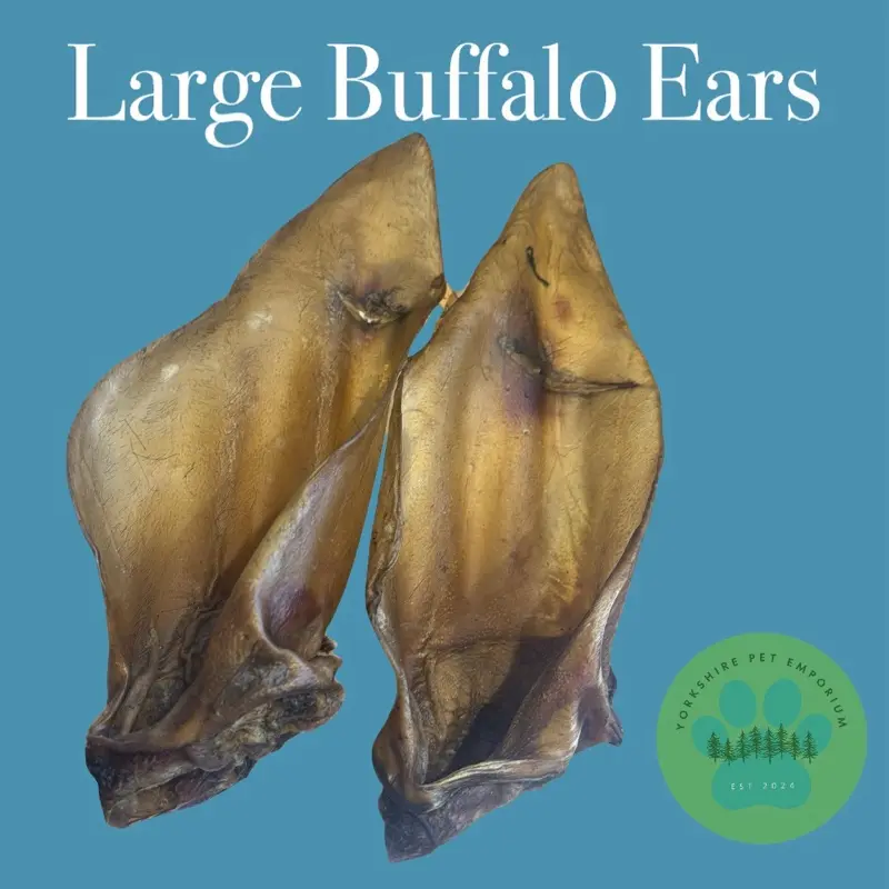 Large Buffalo Ear for Dogs - Low Fat - Natural Large Treat