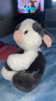 Product Review of Super Soft Eco Flopsie Plush Collection from b**3 3