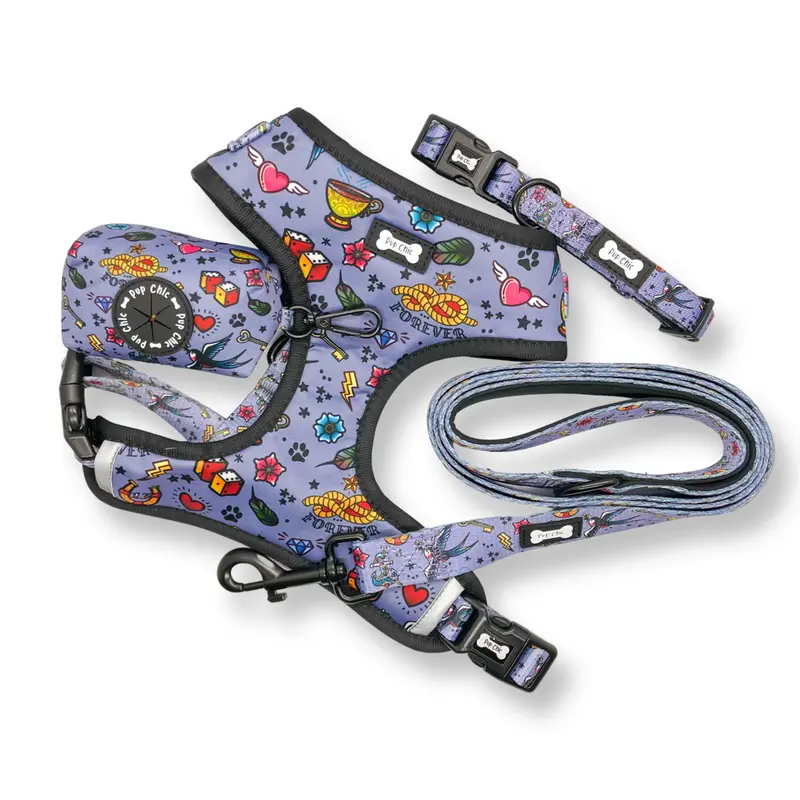 Artful Dogster Collar for Small to Medium-Sized Breeds 1