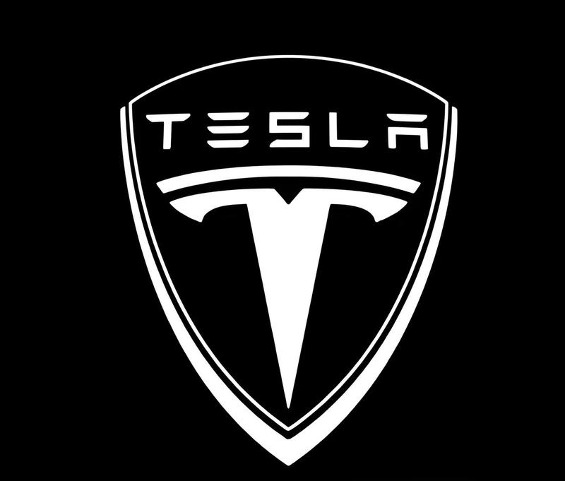 2Pcs Tesla Car Door Projector Light LED Logo Projector for Model 3/S/X/Y 4