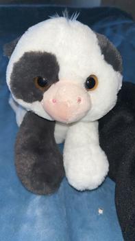 Product Review of Super Soft Eco Flopsie Plush Collection from b**3 1