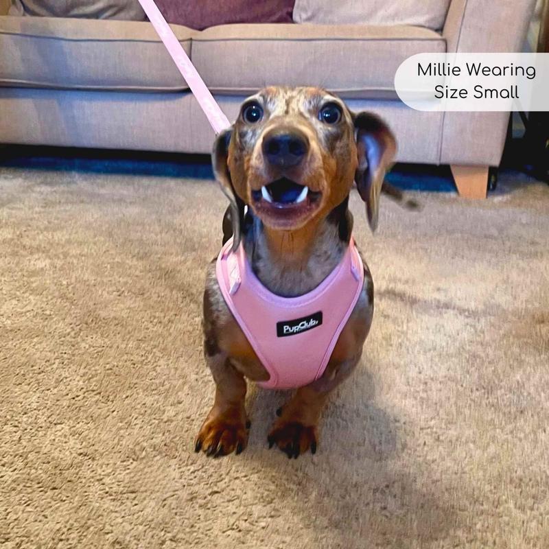 Adjustable Harness - Pastel Pink 4