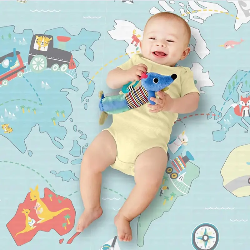 Skip Hop Reversible Playmat 2