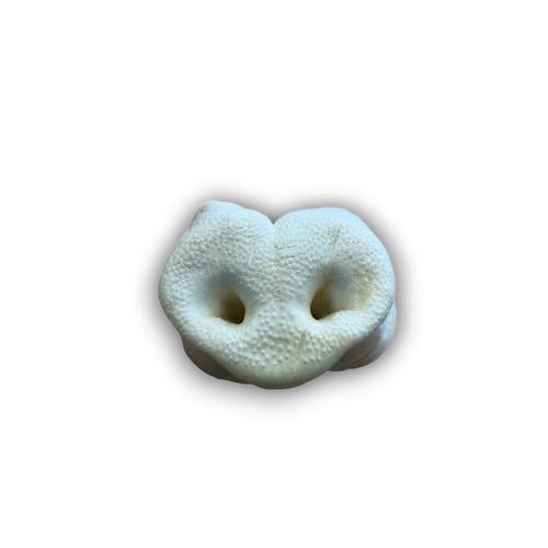 Puffed Pig Snouts - Natural Dog Treat - High Quality 4