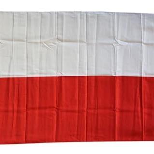 5 X 3ft Poland National Flags Events Pub BBQ Decorations for Rugby Cricket Football Sports 2023 World Cup Banner Fan Light Print 4