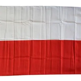 5 X 3ft Poland National Flags Events Pub BBQ Decorations for Rugby Cricket Football Sports 2023 World Cup Banner Fan Light Print 4