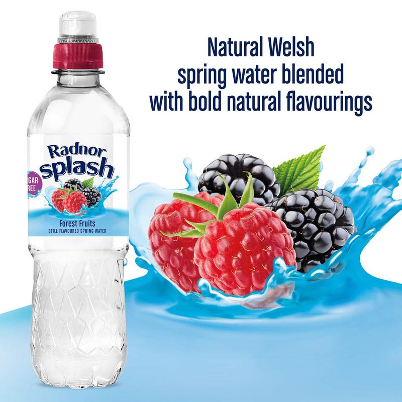 Radnor Splash Forest Fruits Flavoured Water 24 x 500ml | Sugar Free Drink with Natural Sweeteners | Soft Beverage 2