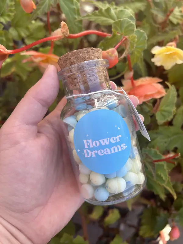 Scoopie Jar 0
