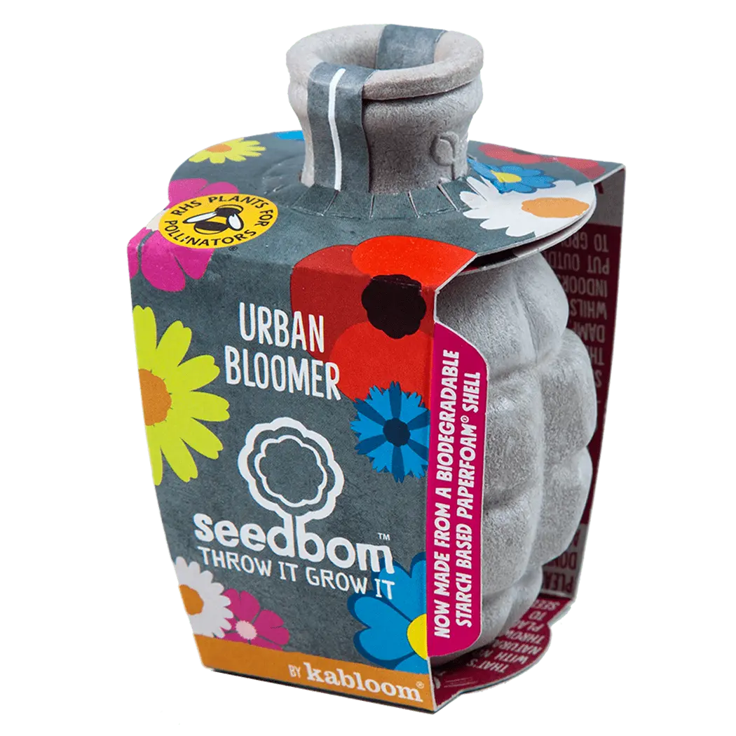 Urban Bloomer Seedbom - Mix of Pollinating Insect Attracting Wildflowers