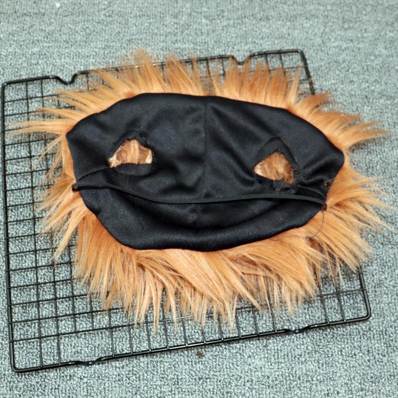 A dog transforms into a funny costume for a large dog in a wig for Halloween pets 4