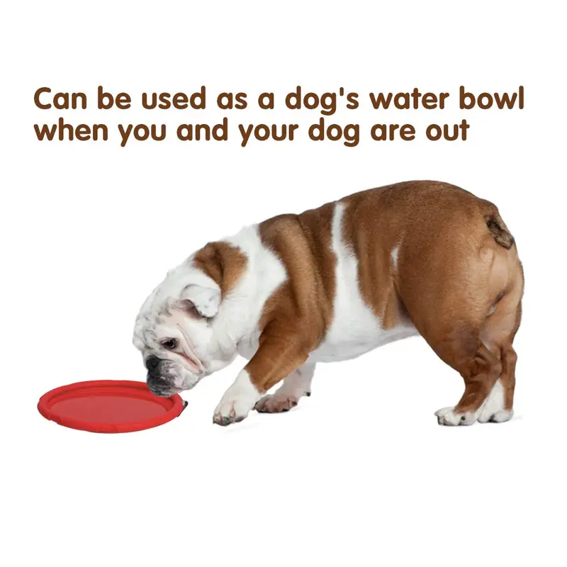 Dog Flying Disc, 2 Pack 7 Inch Natural Rubber Floating Flying Saucer for Both Land and Water (Green + Red) 4