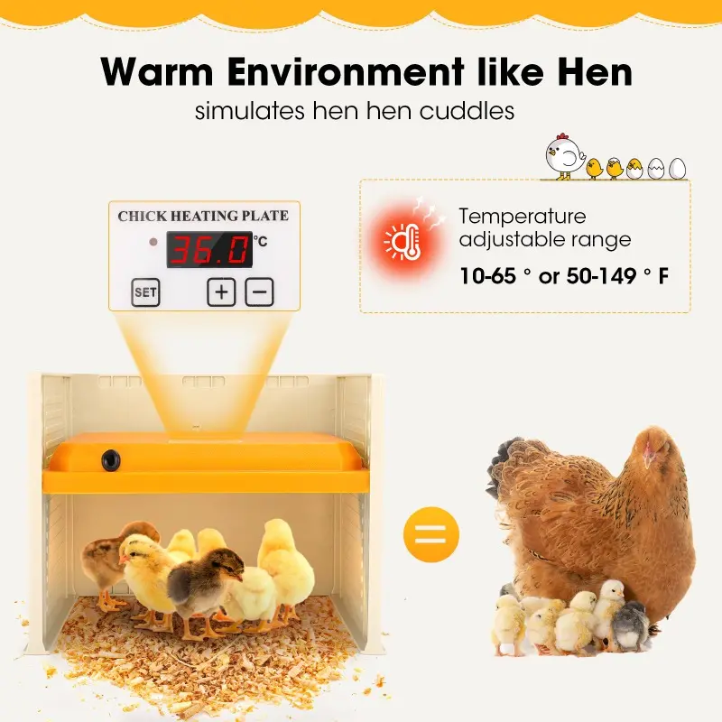 Chick Brooder Heating Plate,Egg Incubator with Adjustable Height and Angle, Brooder Plate for Up to 15 Chick, Replacement Heat Lamp 2