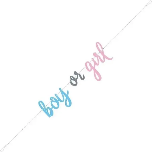 Gender Reveal Boy or Girl Banner for Baby Shower