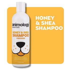 Animology Essentials Honey & Shea Dog Shampoo | Deodorising & Conditioning | Suitable For All Coat Types