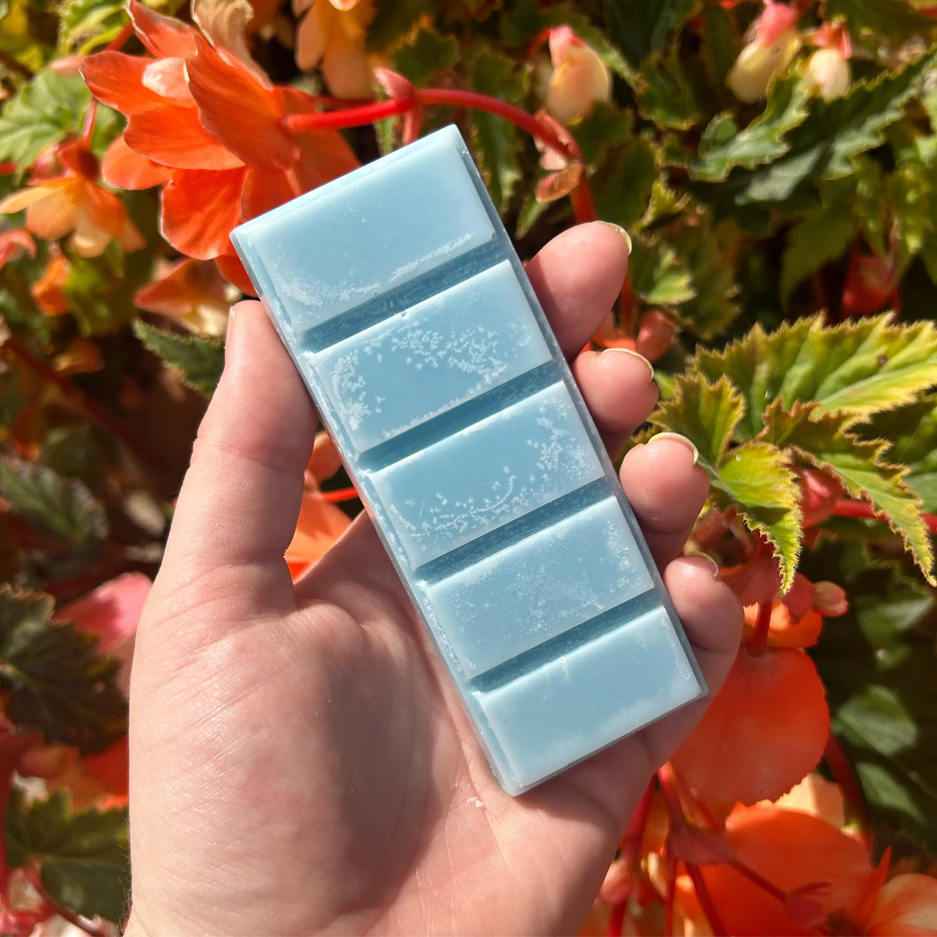 Savage Wax Melt