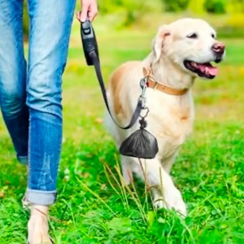 5 pcs Pet Poop Bag Clip Dog Poop Bag Holder Hands Dog Waste 8