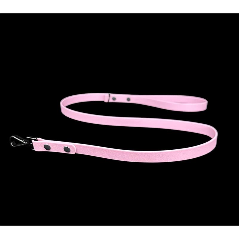 Biothane Dog Lead | Strong Webbing with Waterproof Rubber Coating | Sizes from S to L | All colours available 4
