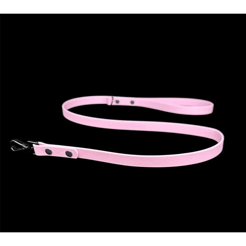 Biothane Dog Lead | Strong Webbing with Waterproof Rubber Coating | Sizes from S to L | All colours available 4