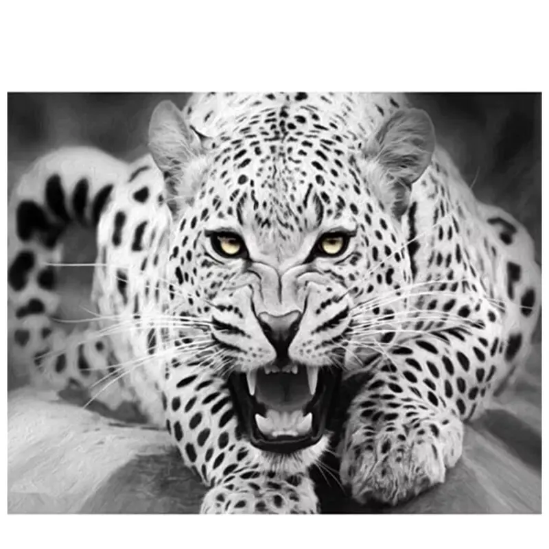 Diy Paint By Numbers Oil Painting On Canvas - Black & White Predator 132 Design 0