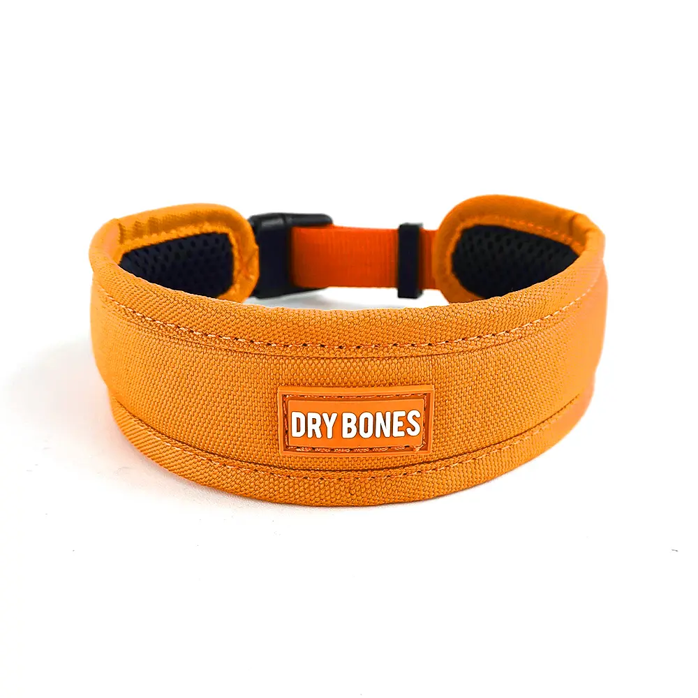 DRYBONES - DOG - ACCESSORIES - ORANGE COLLAR