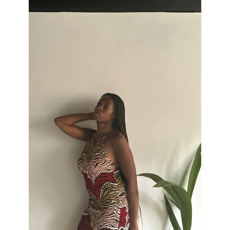 TIGER STRIKES Smock Bodycon Dress 3