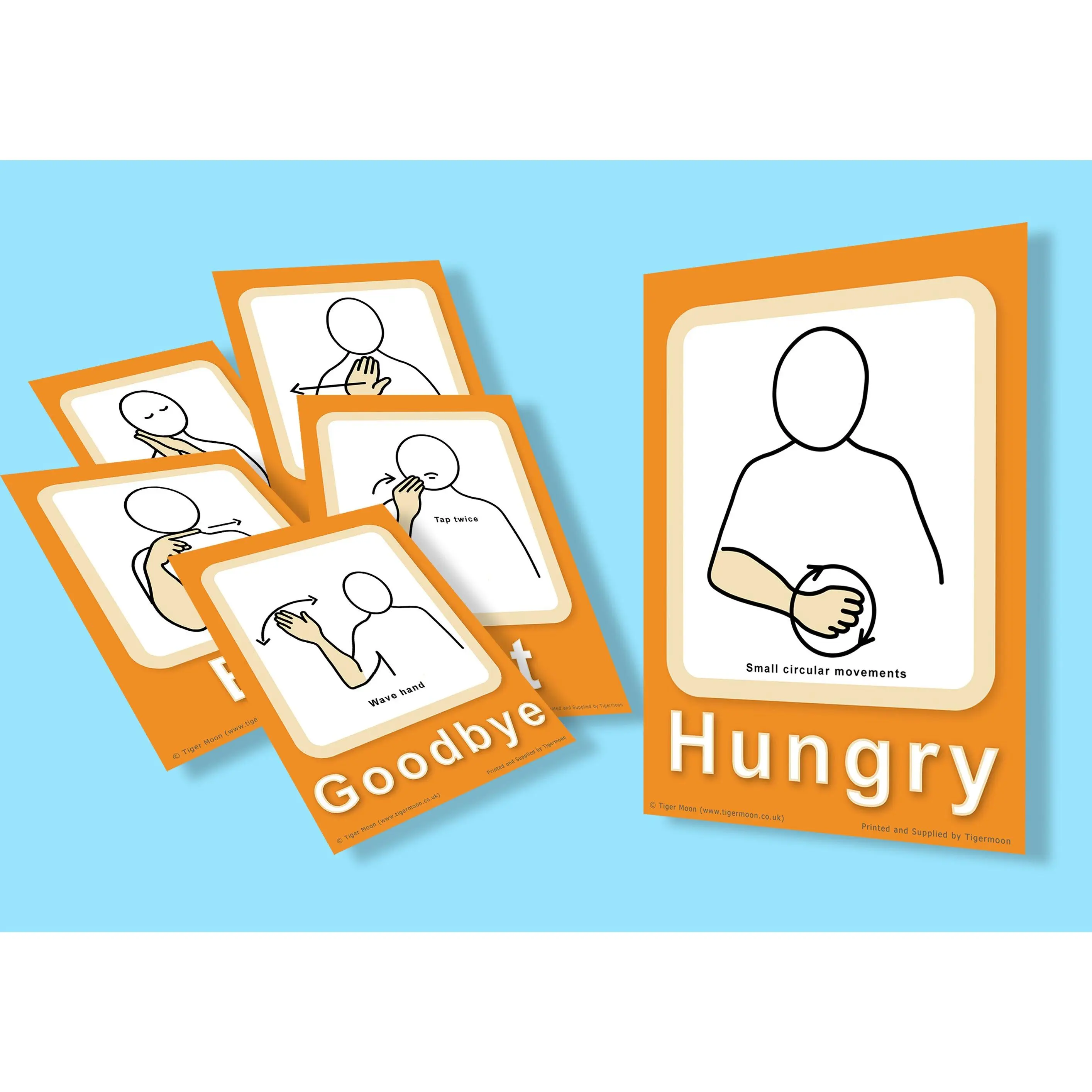 Makaton Basic Signs Flashcards A6