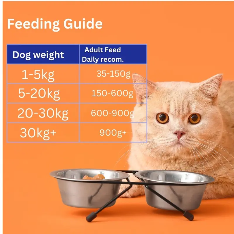 Cat Food Frozen Chicken Mince 16X250g Chubs. BARF Raw Diet real petfood 5