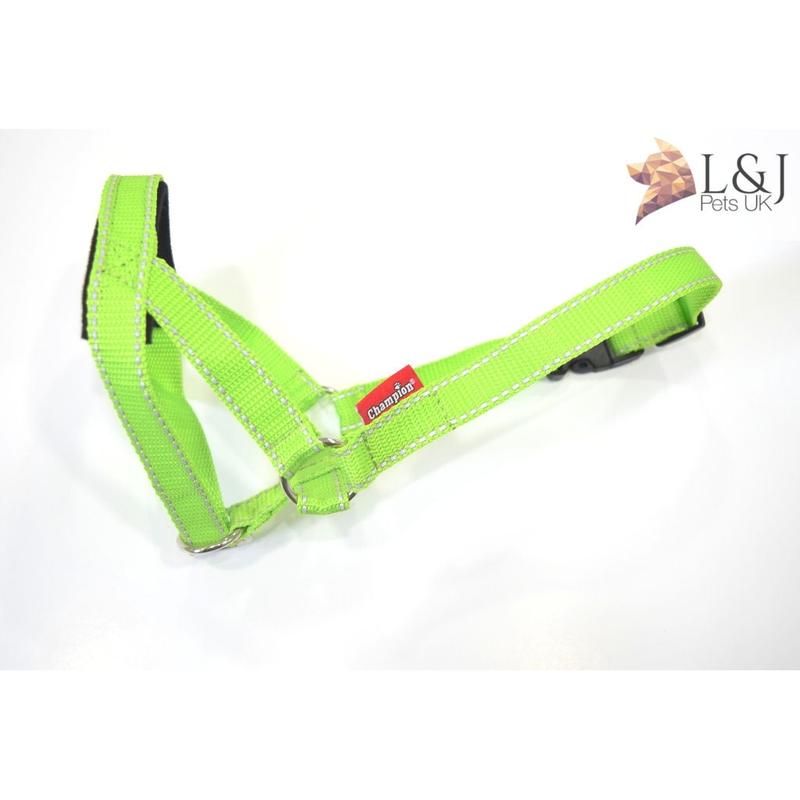 Reflective Padded Head Collar | Dog Training Halter Stops Dog Pulling Behaviour | Outdoor Hi-vis | Large, Small Dogs | Champion 8