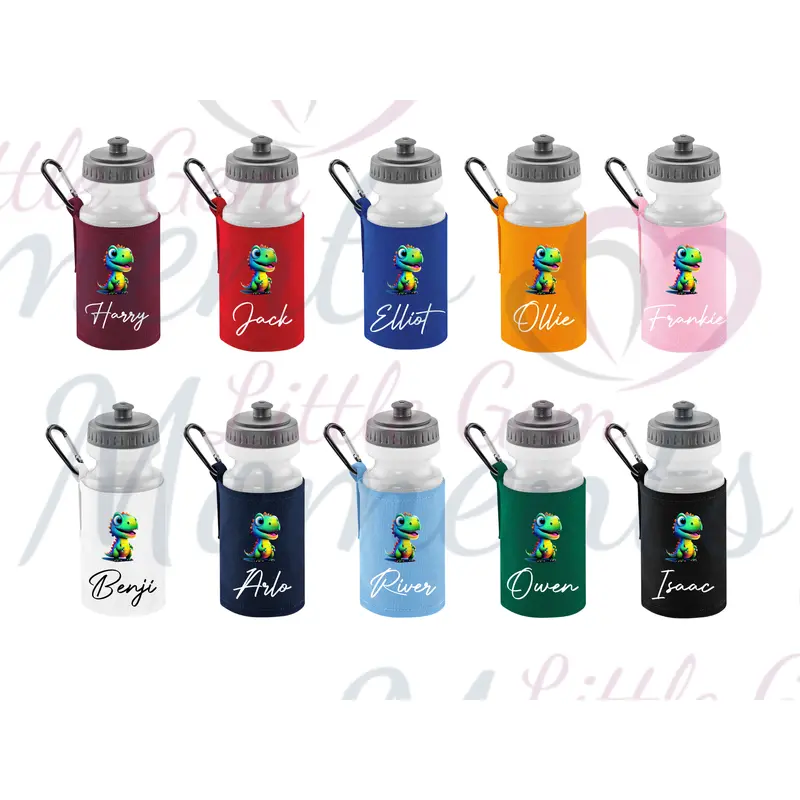 Personalised Cheeky Dinosaur School Water Bottle 0