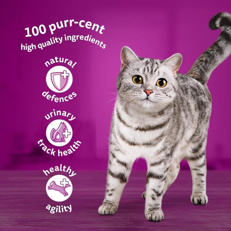 7+ Senior Cat Food Poultry Selection in Jelly, 85 g (Pack of 40), Packaging May Vary 8