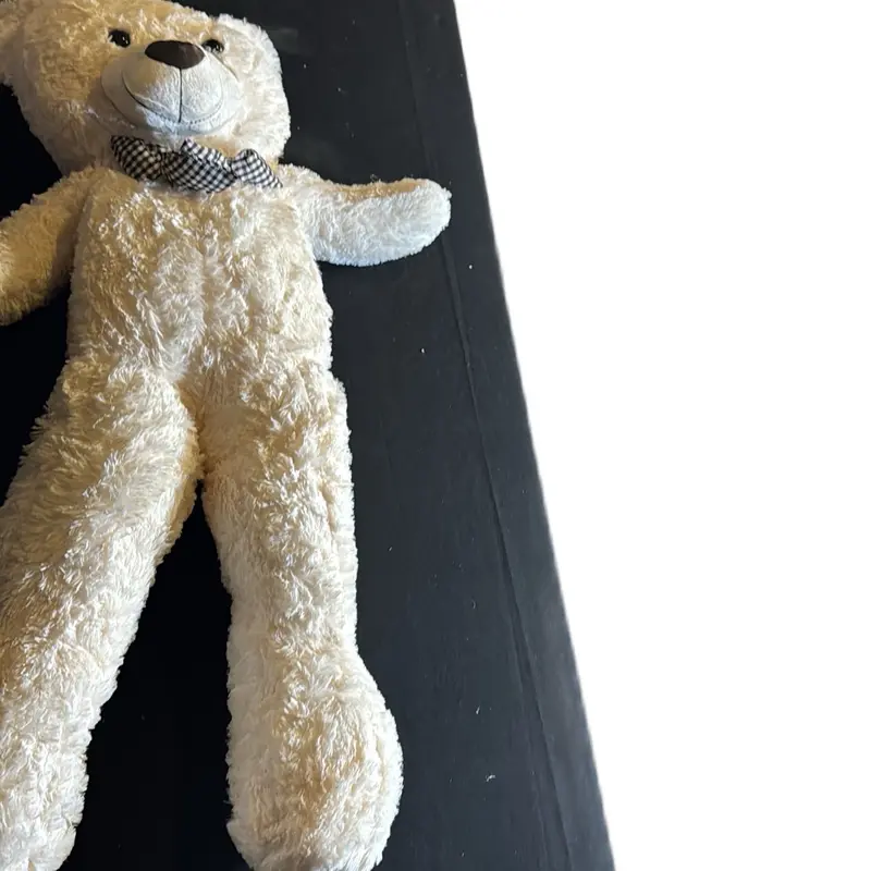 1.2m teddy bear 0
