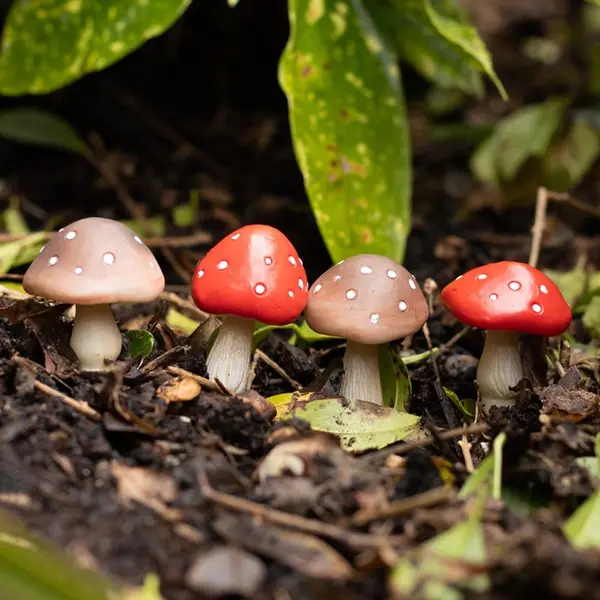 Set of 4 Mini Mushroom Plant Pot Pals 3