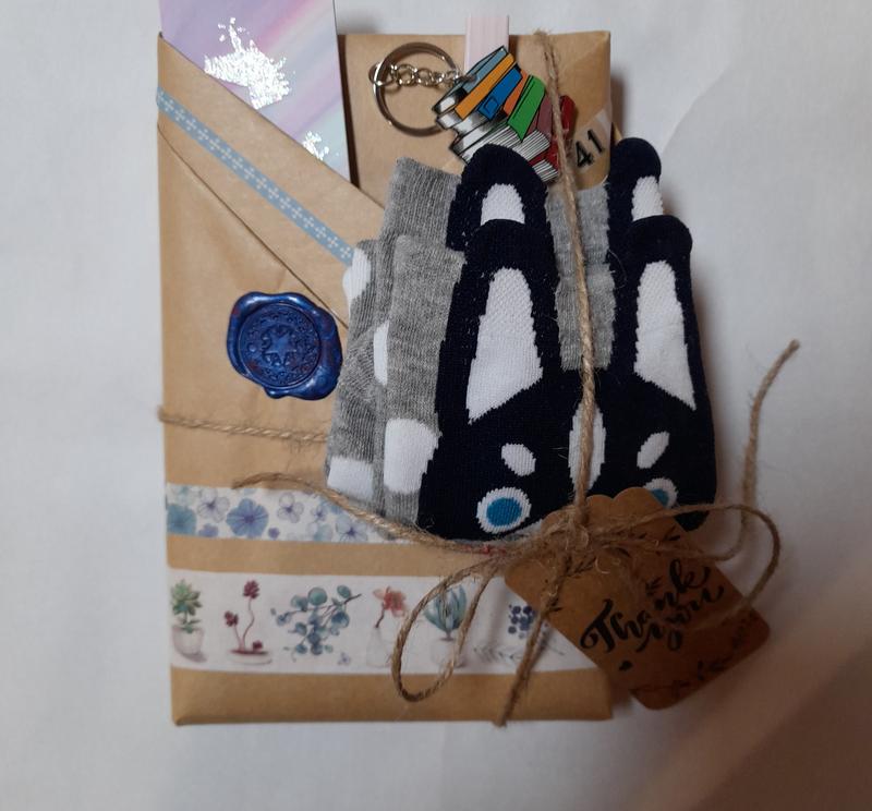 Mystery Box with 5 Items: Book, Bookmark, Keychain, Pens, and Socks 6