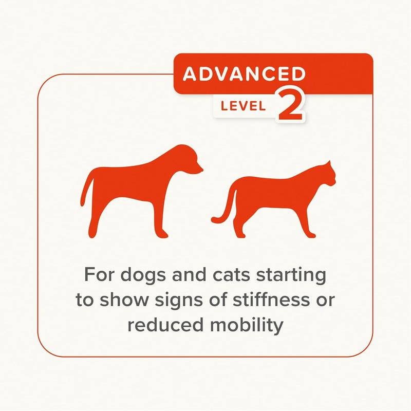 Beaphar Flexifit Advanced Joint Supplement Paste for Cats & Dogs – 250g 5
