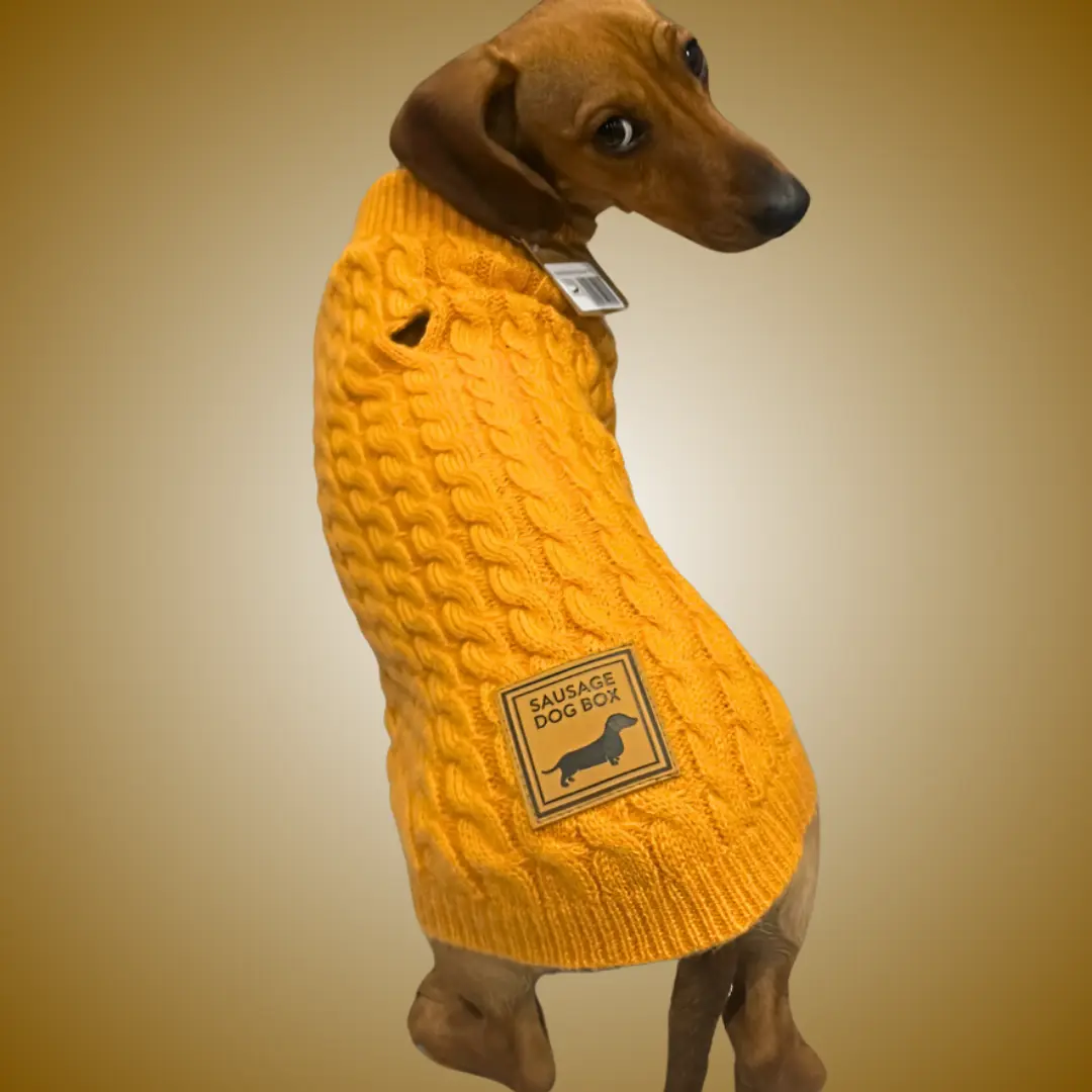 ‘Honey Pie’ Luxury Cable Knit Dachshund Jumper - Sausage Dog Box