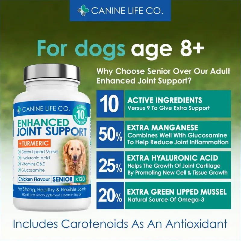 Senior Dog Joint Supplement for Older Dogs Aged 8+ 30 Chewable Tablets Trial Pack 4