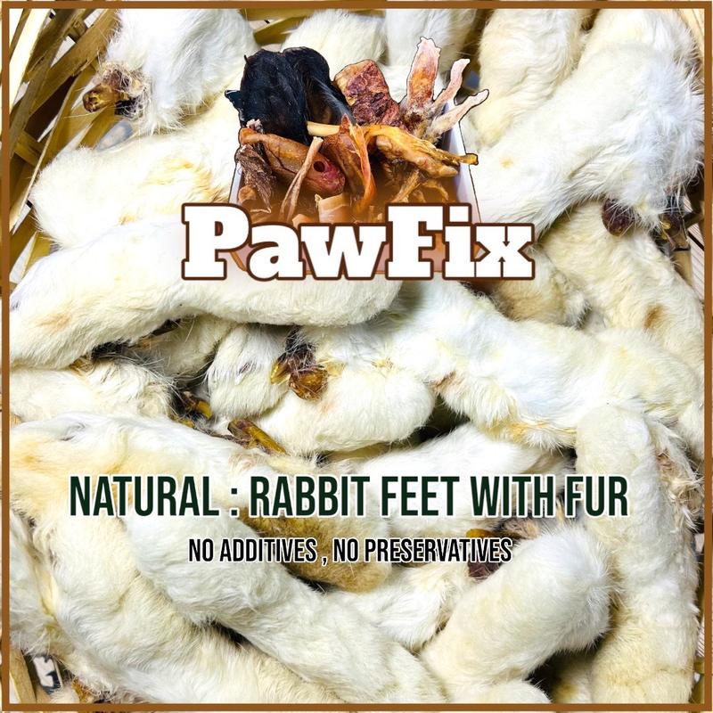 Natural - Rabbit Feet with Fur - Dog Treat