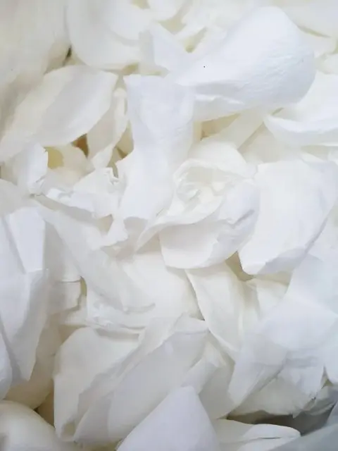 White Wedding Rose Petals, Wedding Rose Petals, White Petals, White Table Petals, Wedding Petals, Marriage Petals, White Petal Confetti, 0