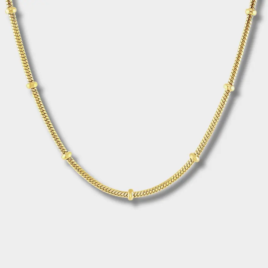 GENEVA CHAIN