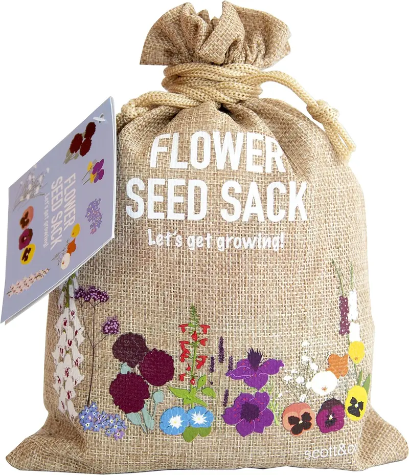 Product Introduction of Flower Seed Variety Pack - 30 Different Varieties of Flower Seeds to Grow Your Own. Butterfly and Bee Attracting, Grow Indoor and Outdoor. Christmas Gifts for Women and Men 2