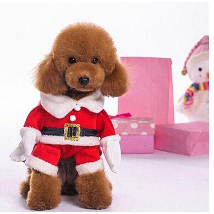 New Christmas Santa Pet Costume 1