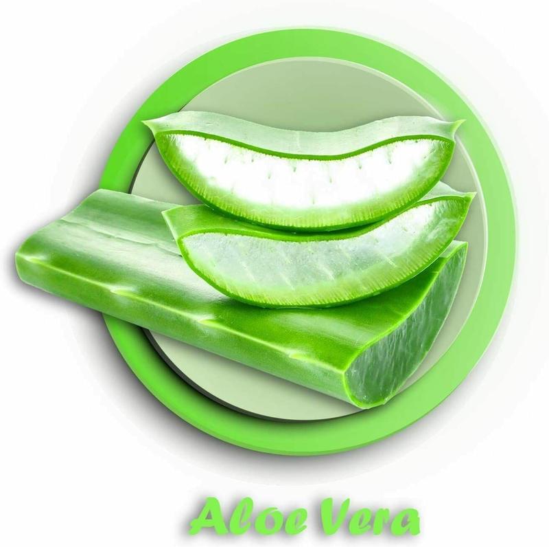 Product Introduction of Inspirations 3Ply Quilted Toilet Tissue Pack – Aloe Vera Rolls Wipes Multicolor 1
