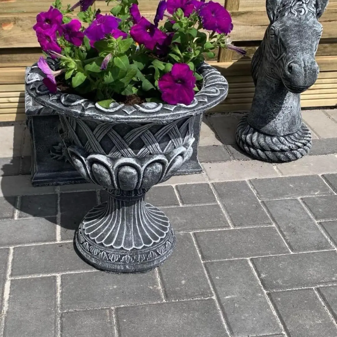 Plant holders