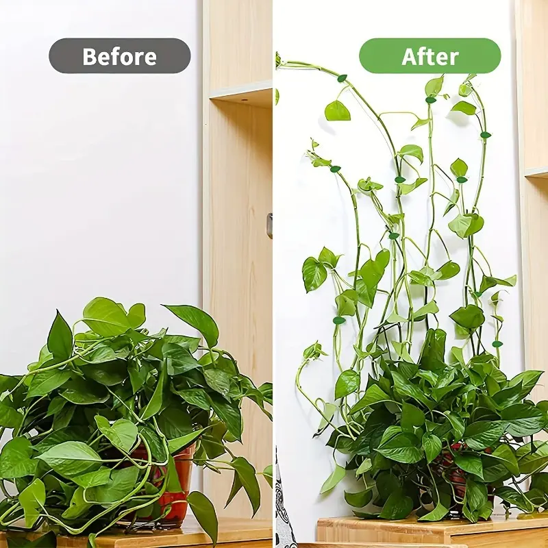 10pcs Green Plastic Climbing Wall Clips, Self-Adhesive Support Fixing Hooks, Sticky Garden Vine Holder for Pothos and Decorative 6