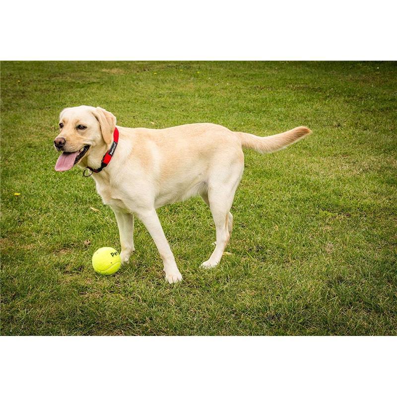 Petface Super Tennis Balls For Dogs, Throw and Fetch, Outdoor Exercise (Pack of 12) squeaky dog toys 2