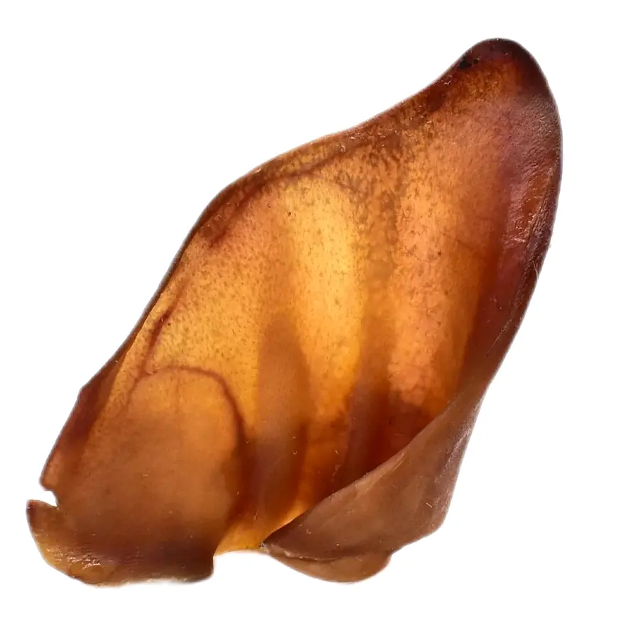 pig ears